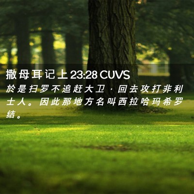 Picture 02 - 撒 母 耳 记 上 23:28 CUVS - 於 是 扫 罗 不 追 赶 大 卫 ， 回 去 - Bible Verse Picture