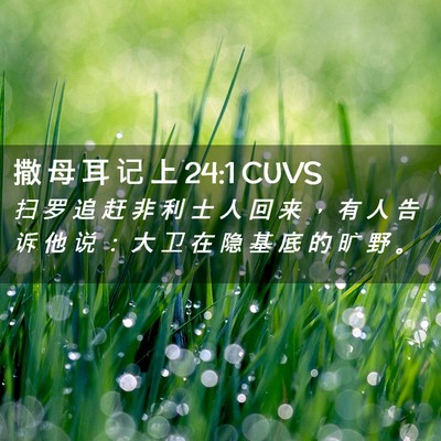 Picture 02 - 撒 母 耳 记 上 24:1 CUVS - 扫 罗 追 赶 非 利 士 人 回 来 ， 有 - Bible Verse Picture
