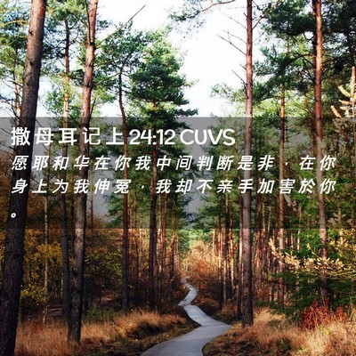Picture 02 - 撒 母 耳 记 上 24:12 CUVS - 愿 耶 和 华 在 你 我 中 间 判 断 是 - Bible Verse Picture