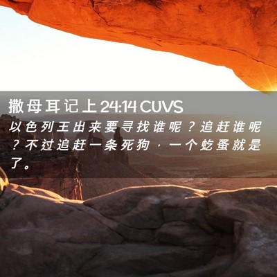 Picture 02 - 撒 母 耳 记 上 24:14 CUVS - 以 色 列 王 出 来 要 寻 找 谁 呢 ？ - Bible Verse Picture