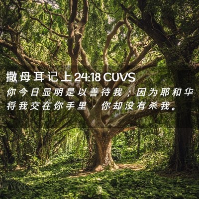 Picture 02 - 撒 母 耳 记 上 24:18 CUVS - 你 今 日 显 明 是 以 善 待 我 ； 因 - Bible Verse Picture