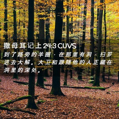 Picture 02 - 撒 母 耳 记 上 24:3 CUVS - 到 了 路 旁 的 羊 圈 ， 在 那 里 有 - Bible Verse Picture