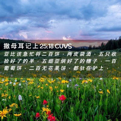 Picture 02 - 撒 母 耳 记 上 25:18 CUVS - 亚 比 该 急 忙 将 二 百 饼 ， 两 皮 - Bible Verse Picture