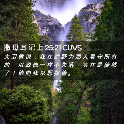 Picture 02 - 撒 母 耳 记 上 25:21 CUVS - 大 卫 曾 说 ： 我 在 旷 野 为 那 人 - Bible Verse Picture