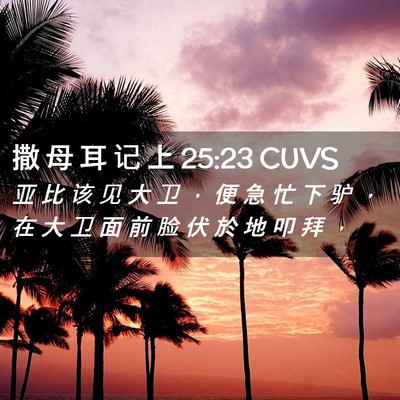 Picture 02 - 撒 母 耳 记 上 25:23 CUVS - 亚 比 该 见 大 卫 ， 便 急 忙 下 驴 - Bible Verse Picture
