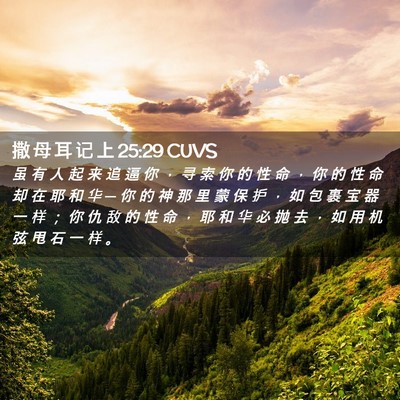 Picture 02 - 撒 母 耳 记 上 25:29 CUVS - 虽 有 人 起 来 追 逼 你 ， 寻 索 你 - Bible Verse Picture