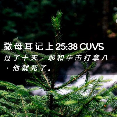 Picture 02 - 撒 母 耳 记 上 25:38 CUVS - 过 了 十 天 ， 耶 和 华 击 打 拿 八 - Bible Verse Picture