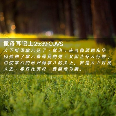 Picture 02 - 撒 母 耳 记 上 25:39 CUVS - 大 卫 听 见 拿 八 死 了 ， 就 说 ： - Bible Verse Picture