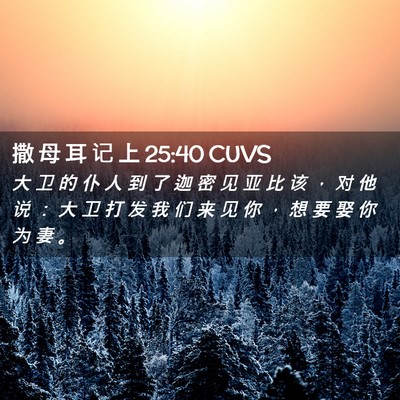 Picture 02 - 撒 母 耳 记 上 25:40 CUVS - 大 卫 的 仆 人 到 了 迦 密 见 亚 比 - Bible Verse Picture