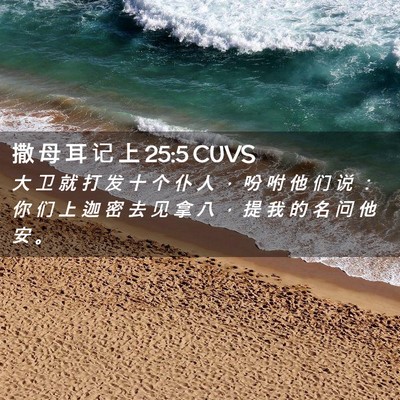 Picture 02 - 撒 母 耳 记 上 25:5 CUVS - 大 卫 就 打 发 十 个 仆 人 ， 吩 咐 - Bible Verse Picture