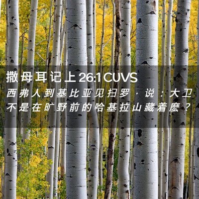 Picture 02 - 撒 母 耳 记 上 26:1 CUVS - 西 弗 人 到 基 比 亚 见 扫 罗 ， 说 - Bible Verse Picture