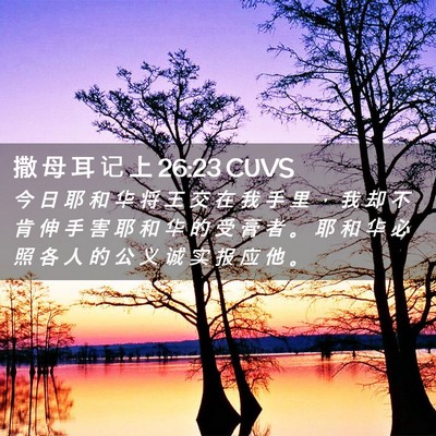 Picture 02 - 撒 母 耳 记 上 26:23 CUVS - 今 日 耶 和 华 将 王 交 在 我 手 里 - Bible Verse Picture