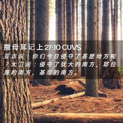 Picture 02 - 撒 母 耳 记 上 27:10 CUVS - 亚 吉 说 ： 你 们 今 日 侵 夺 了 甚 - Bible Verse Picture