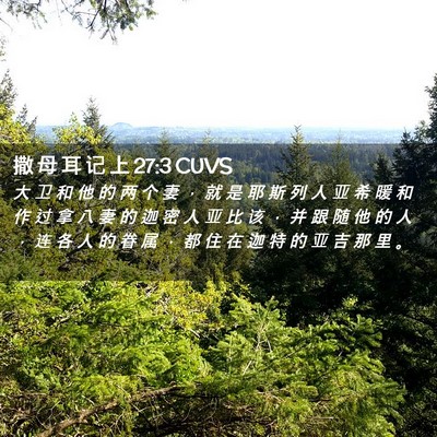 Picture 02 - 撒 母 耳 记 上 27:3 CUVS - 大 卫 和 他 的 两 个 妻 ， 就 是 耶 - Bible Verse Picture