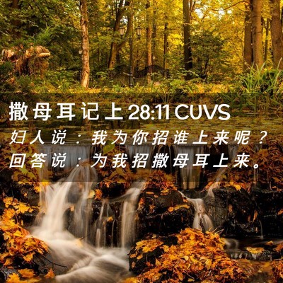 Picture 02 - 撒 母 耳 记 上 28:11 CUVS - 妇 人 说 ： 我 为 你 招 谁 上 来 呢 - Bible Verse Picture