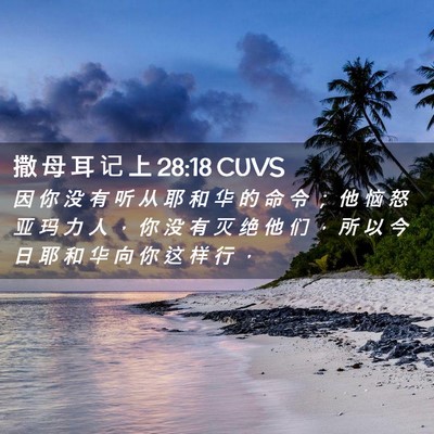 Picture 02 - 撒 母 耳 记 上 28:18 CUVS - 因 你 没 有 听 从 耶 和 华 的 命 令 - Bible Verse Picture