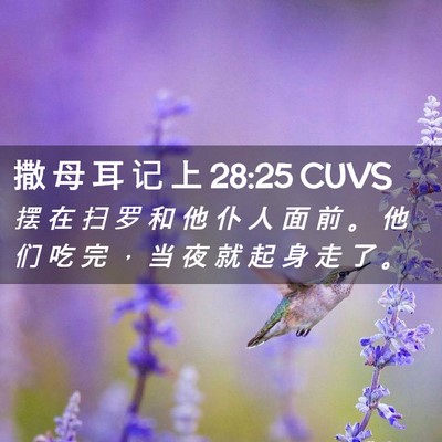 Picture 02 - 撒 母 耳 记 上 28:25 CUVS - 摆 在 扫 罗 和 他 仆 人 面 前 。 他 - Bible Verse Picture