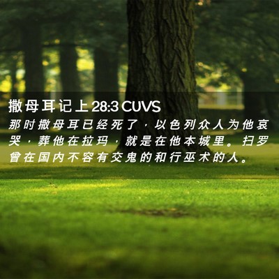 Picture 02 - 撒 母 耳 记 上 28:3 CUVS - 那 时 撒 母 耳 已 经 死 了 ， 以 色 - Bible Verse Picture
