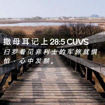 Picture 02 - 撒 母 耳 记 上 28:5 CUVS - 扫 罗 看 见 非 利 士 的 军 旅 就 惧 - Bible Verse Picture