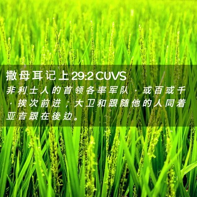 Picture 02 - 撒 母 耳 记 上 29:2 CUVS - 非 利 士 人 的 首 领 各 率 军 队 ， - Bible Verse Picture