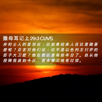 Picture 02 - 撒 母 耳 记 上 29:3 CUVS - 非 利 士 人 的 首 领 说 ： 这 些 希 - Bible Verse Picture