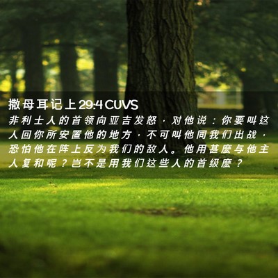 Picture 02 - 撒 母 耳 记 上 29:4 CUVS - 非 利 士 人 的 首 领 向 亚 吉 发 怒 - Bible Verse Picture