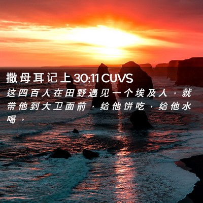 Picture 02 - 撒 母 耳 记 上 30:11 CUVS - 这 四 百 人 在 田 野 遇 见 一 个 埃 - Bible Verse Picture