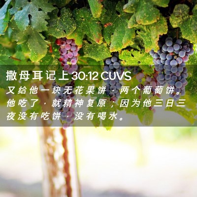 Picture 02 - 撒 母 耳 记 上 30:12 CUVS - 又 给 他 一 块 无 花 果 饼 ， 两 个 - Bible Verse Picture