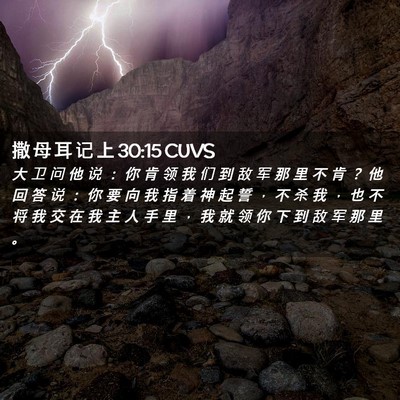 Picture 02 - 撒 母 耳 记 上 30:15 CUVS - 大 卫 问 他 说 ： 你 肯 领 我 们 到 - Bible Verse Picture