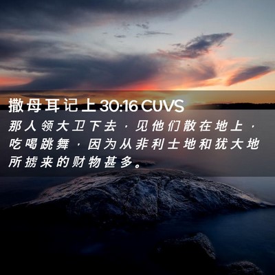 Picture 02 - 撒 母 耳 记 上 30:16 CUVS - 那 人 领 大 卫 下 去 ， 见 他 们 散 - Bible Verse Picture