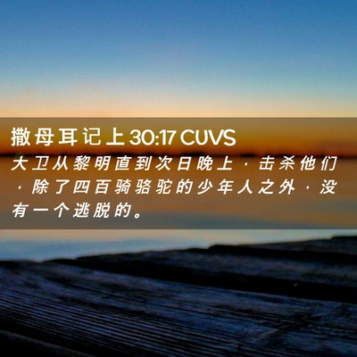 Picture 02 - 撒 母 耳 记 上 30:17 CUVS - 大 卫 从 黎 明 直 到 次 日 晚 上 ， - Bible Verse Picture