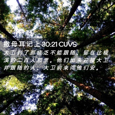Picture 02 - 撒 母 耳 记 上 30:21 CUVS - 大 卫 到 了 那 疲 乏 不 能 跟 随 、 - Bible Verse Picture
