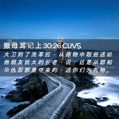 Picture 02 - 撒 母 耳 记 上 30:26 CUVS - 大 卫 到 了 洗 革 拉 ， 从 掠 物 中 - Bible Verse Picture