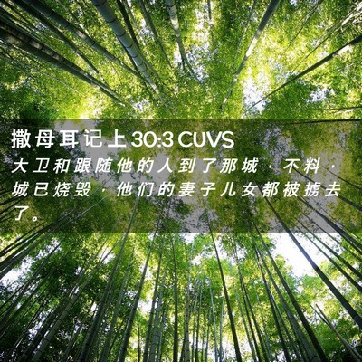 Picture 02 - 撒 母 耳 记 上 30:3 CUVS - 大 卫 和 跟 随 他 的 人 到 了 那 城 - Bible Verse Picture