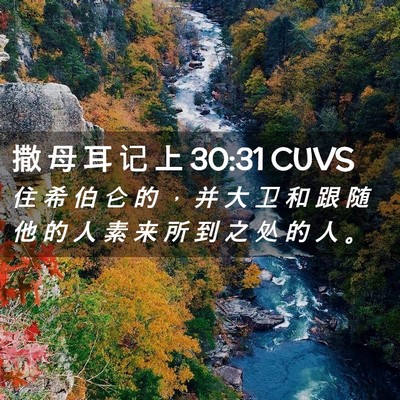 Picture 02 - 撒 母 耳 记 上 30:31 CUVS - 住 希 伯 仑 的 ， 并 大 卫 和 跟 随 - Bible Verse Picture