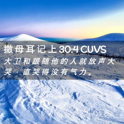 Picture 02 - 撒 母 耳 记 上 30:4 CUVS - 大 卫 和 跟 随 他 的 人 就 放 声 大 - Bible Verse Picture