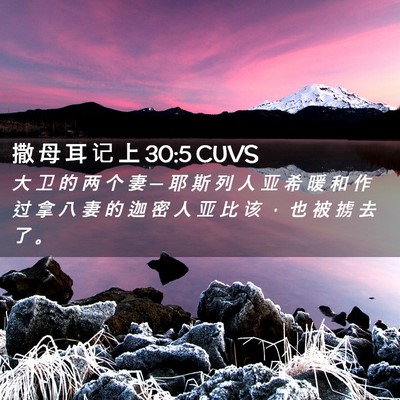 Picture 02 - 撒 母 耳 记 上 30:5 CUVS - 大 卫 的 两 个 妻 ─ 耶 斯 列 人 亚 - Bible Verse Picture