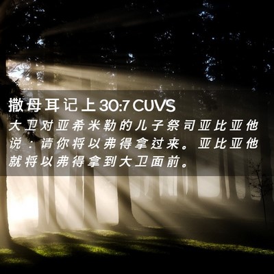 Picture 02 - 撒 母 耳 记 上 30:7 CUVS - 大 卫 对 亚 希 米 勒 的 儿 子 祭 司 - Bible Verse Picture