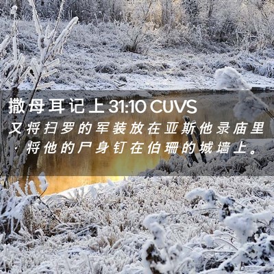 Picture 02 - 撒 母 耳 记 上 31:10 CUVS - 又 将 扫 罗 的 军 装 放 在 亚 斯 他 - Bible Verse Picture