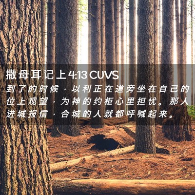 Picture 02 - 撒 母 耳 记 上 4:13 CUVS - 到 了 的 时 候 ， 以 利 正 在 道 旁 - Bible Verse Picture