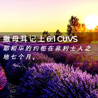 Picture 02 - 撒 母 耳 记 上 6:1 CUVS - 耶 和 华 的 约 柜 在 非 利 士 人 之 - Bible Verse Picture