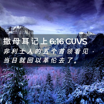 Picture 02 - 撒 母 耳 记 上 6:16 CUVS - 非 利 士 人 的 五 个 首 领 看 见 ， - Bible Verse Picture