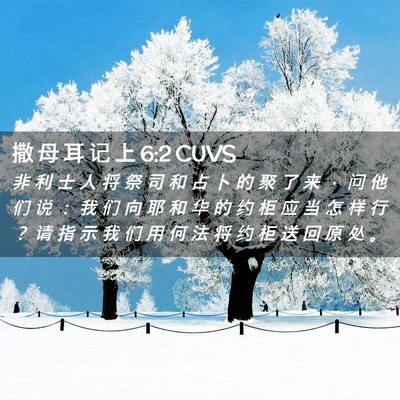 Picture 02 - 撒 母 耳 记 上 6:2 CUVS - 非 利 士 人 将 祭 司 和 占 卜 的 聚 - Bible Verse Picture