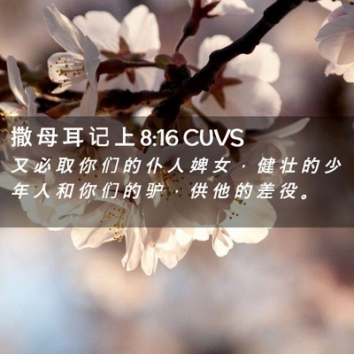 Picture 02 - 撒 母 耳 记 上 8:16 CUVS - 又 必 取 你 们 的 仆 人 婢 女 ， 健 - Bible Verse Picture