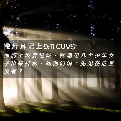 Picture 02 - 撒 母 耳 记 上 9:11 CUVS - 他 们 上 坡 要 进 城 ， 就 遇 见 几 - Bible Verse Picture