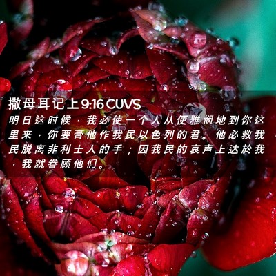 Picture 02 - 撒 母 耳 记 上 9:16 CUVS - 明 日 这 时 候 ， 我 必 使 一 个 人 - Bible Verse Picture