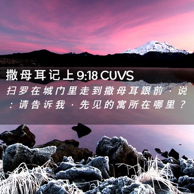 Picture 02 - 撒 母 耳 记 上 9:18 CUVS - 扫 罗 在 城 门 里 走 到 撒 母 耳 跟 - Bible Verse Picture