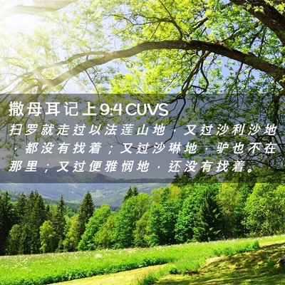 Picture 02 - 撒 母 耳 记 上 9:4 CUVS - 扫 罗 就 走 过 以 法 莲 山 地 ， 又 - Bible Verse Picture