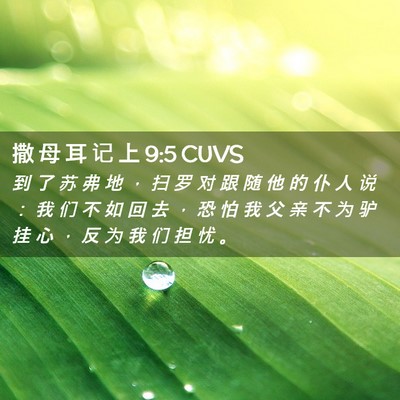 Picture 02 - 撒 母 耳 记 上 9:5 CUVS - 到 了 苏 弗 地 ， 扫 罗 对 跟 随 他 - Bible Verse Picture
