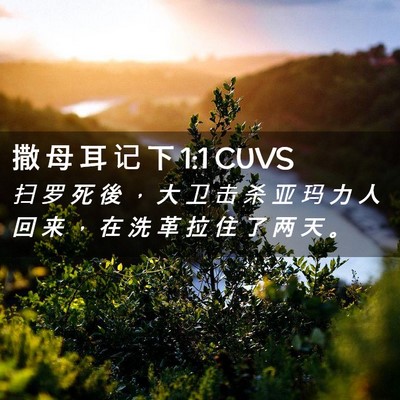 Picture 02 - 撒 母 耳 记 下 1:1 CUVS - 扫 罗 死 後 ， 大 卫 击 杀 亚 玛 力 - Bible Verse Picture